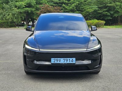 2025 Tesla MODEL Y photo 1