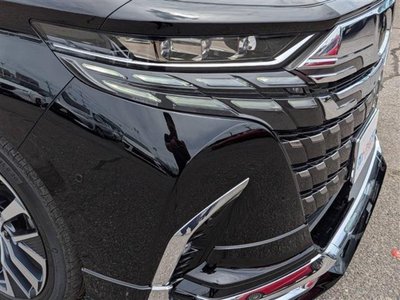 2025 TOYOTA ALPHARD 缩略图 18