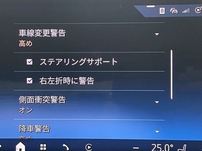 2024 BMW 5 SERIES 缩略图 78