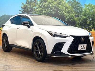 2023 Lexus NX 缩略图 16