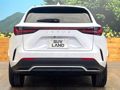 2023 Lexus NX 缩略图 15
