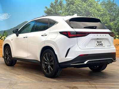 2023 Lexus NX 缩略图 21