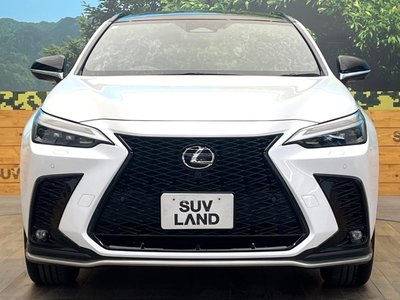 2023 Lexus NX 缩略图 14