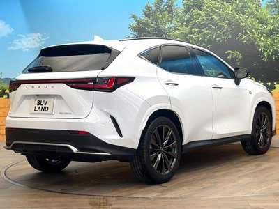 2023 Lexus NX 缩略图 17