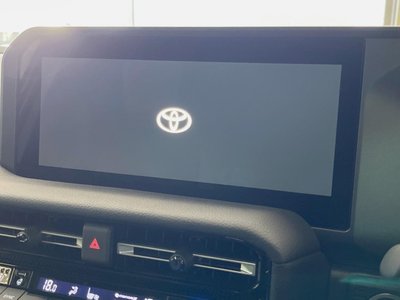 2025 Toyota LAND CRUISER 250 photo 4
