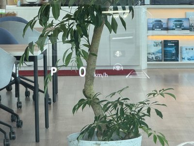 TOYOTA LAND CRUISER 250 - 6