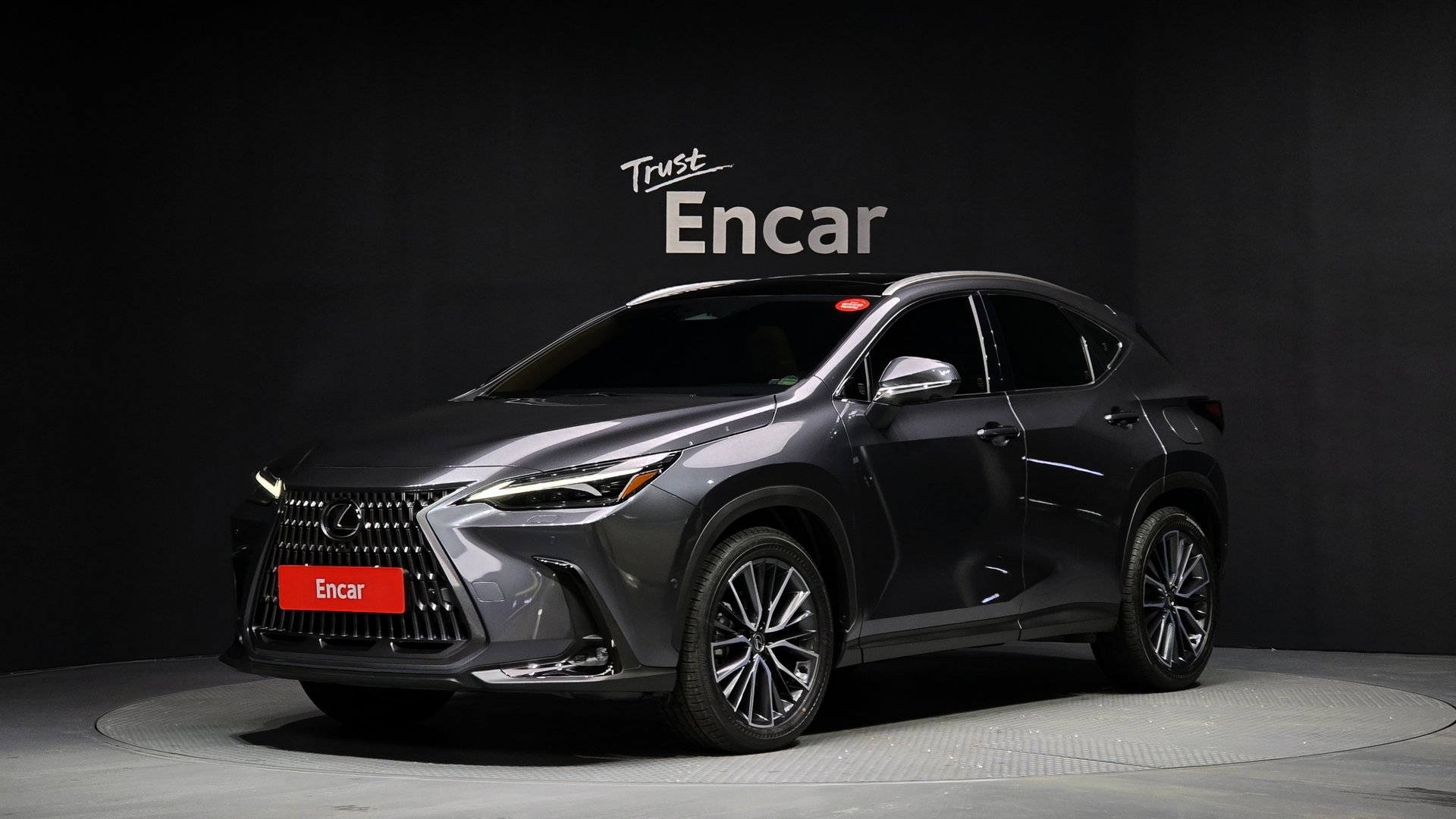 LEXUS NX - View 1