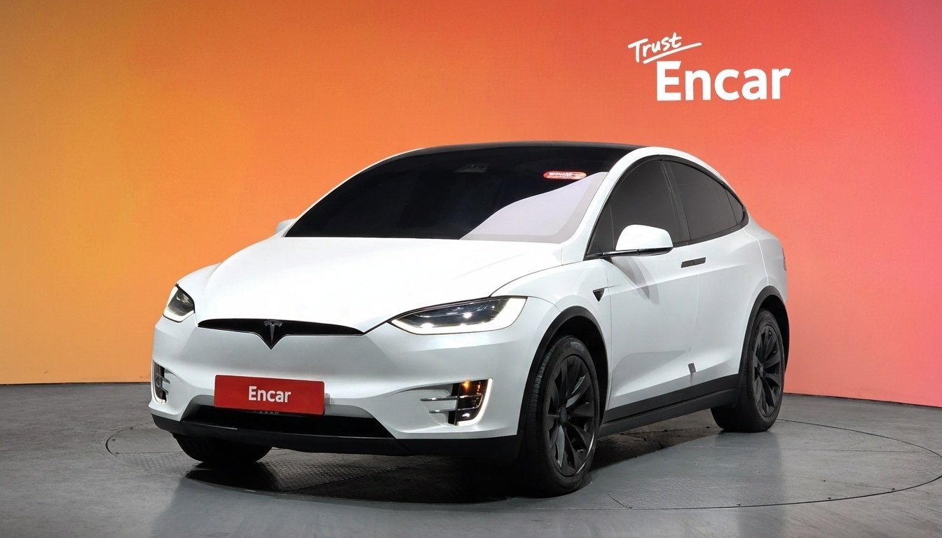 TESLA MODEL X - View 1