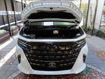 2025 Toyota ALPHARD 缩略图 84