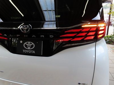 2025 Toyota ALPHARD 缩略图 13