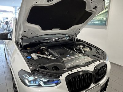 2024 BMW X3 缩略图 60