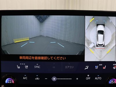 LEXUS NX - 10