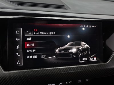 2022 AUDI E-TRON GT 缩略图 22