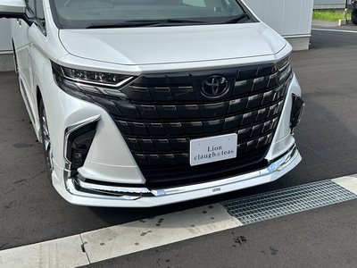 2023 Toyota ALPHARD — миниатюра 31