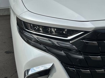 2023 Toyota ALPHARD — миниатюра 32