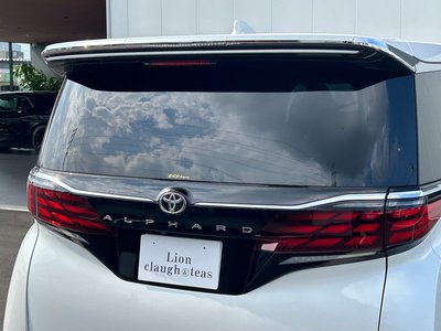 2023 Toyota ALPHARD — миниатюра 12