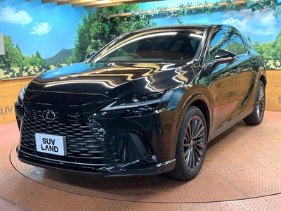 صورة مصغرة 58 لـ 2024 Lexus RX