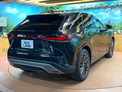 صورة مصغرة 61 لـ 2024 Lexus RX