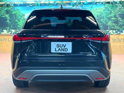 صورة مصغرة 17 لـ 2024 Lexus RX