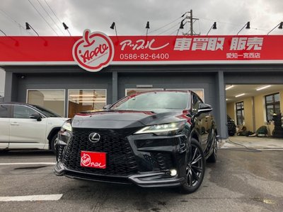 LEXUS RX - 1