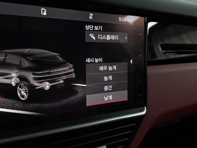 2021 Porsche CAYENNE 缩略图 23