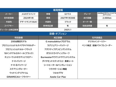 MERCEDES-BENZ G-CLASS - 7