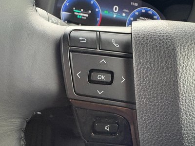 2024 Toyota ALPHARD 缩略图 24