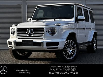 MERCEDES-BENZ G-CLASS - 1