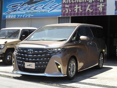 2025 TOYOTA ALPHARD 缩略图 13