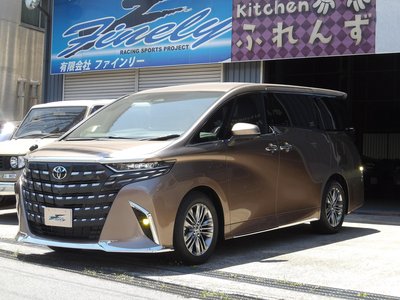2025 TOYOTA ALPHARD 缩略图 16