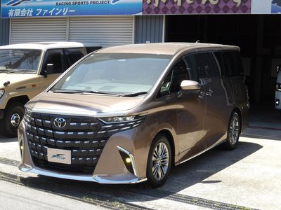 2025 TOYOTA ALPHARD 缩略图 27