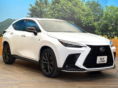 2023 Lexus NX — миниатюра 16