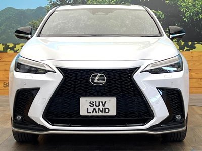 2023 Lexus NX — миниатюра 14