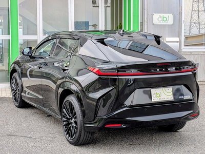 2023 Lexus RZ 缩略图 19