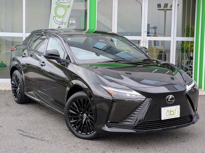 2023 Lexus RZ 照片 1