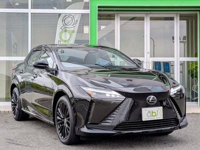 2023 Lexus RZ 照片 2