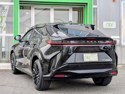 2023 Lexus RZ 缩略图 20