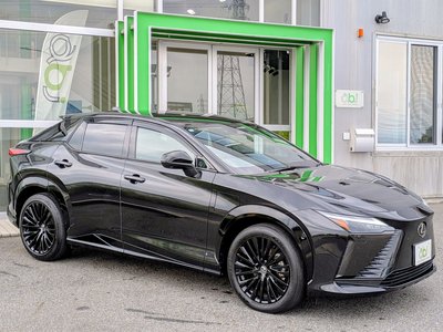 2023 Lexus RZ 照片 3