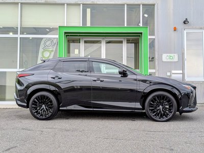 2023 Lexus RZ 缩略图 17