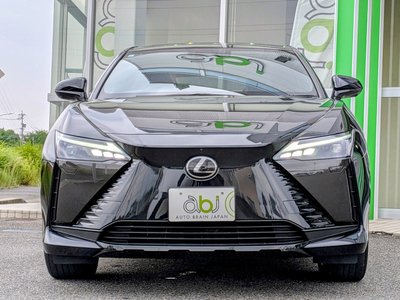 2023 Lexus RZ 照片 6