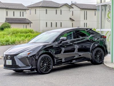 2023 Lexus RZ 缩略图 14