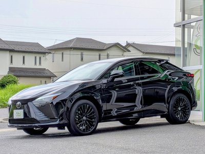2023 Lexus RZ 缩略图 15