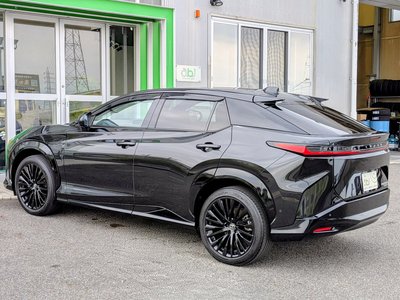 2023 Lexus RZ 缩略图 21