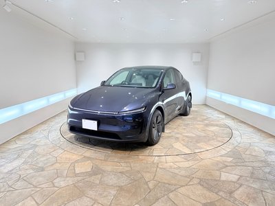 TESLA MODEL Y - 1