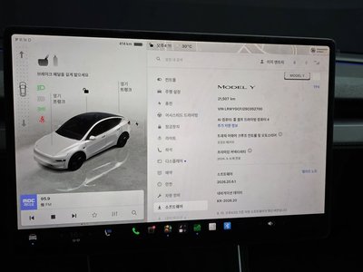 2025 Tesla MODEL Y — миниатюра 21