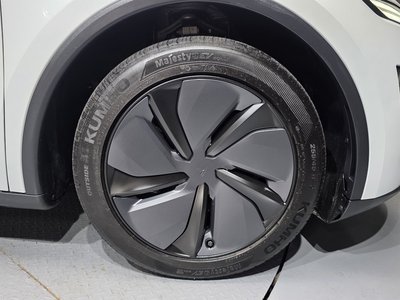 2025 Tesla MODEL Y 照片 8