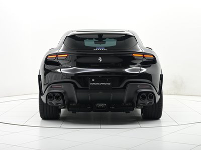 FERRARI PUROSANGUE - 6