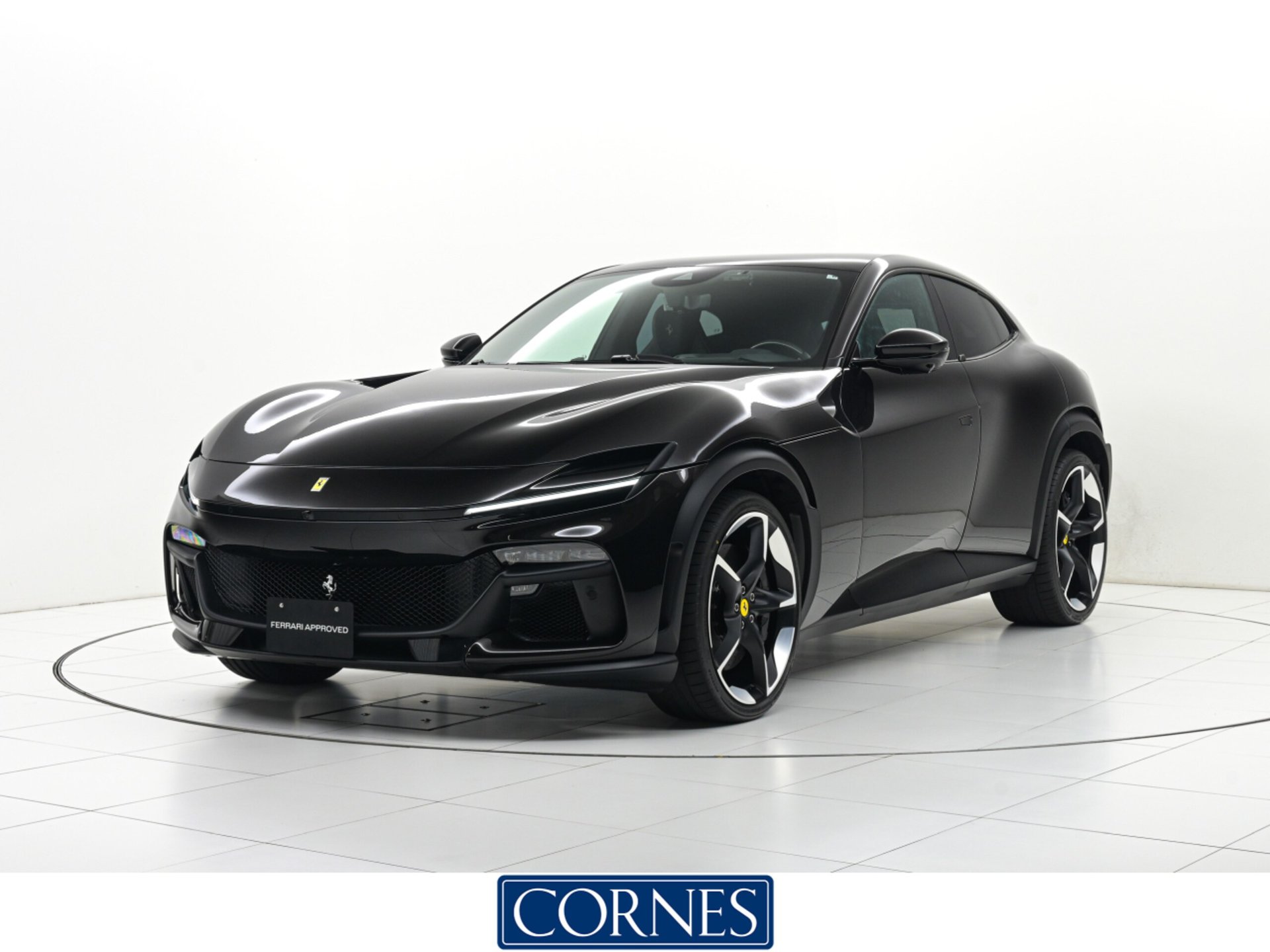 FERRARI PUROSANGUE - View 1