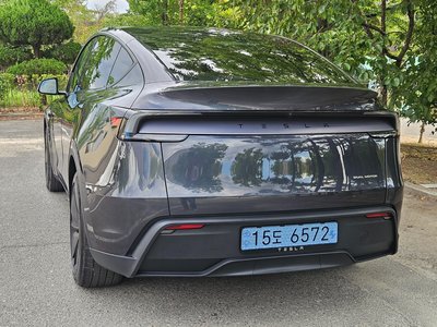 2025 Tesla MODEL Y 照片 6