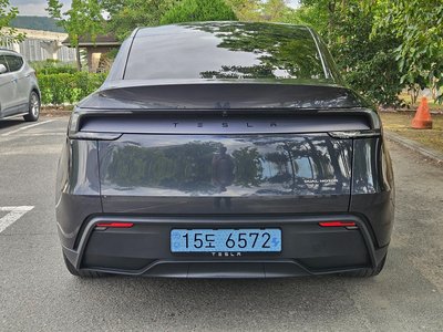 2025 Tesla MODEL Y 照片 3